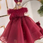 Regal Red Feather & Sequin Gown