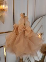 Golden Nude Heirloom Dress - Image 4