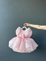 Blush Pink Angel Wings Pearl Frock - Image 2