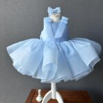 Baby Blue Ribbon Shoulder Bow Frock