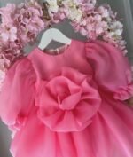 Pink Rose Bloom Party Frock - Image 2