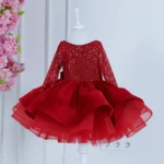 Ruby Red Sequin Princess Dress